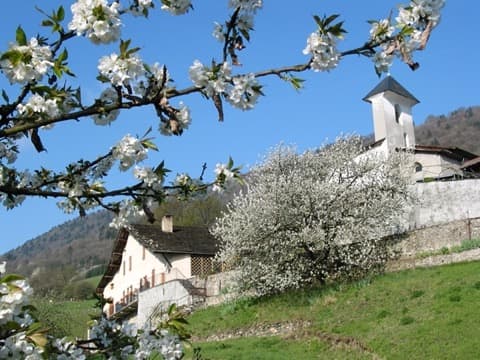 Décoration et Aménagement d'intérieur La Croix-de-la-Rochette