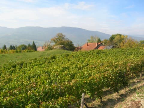 Décoration et Aménagement d'intérieur Myans